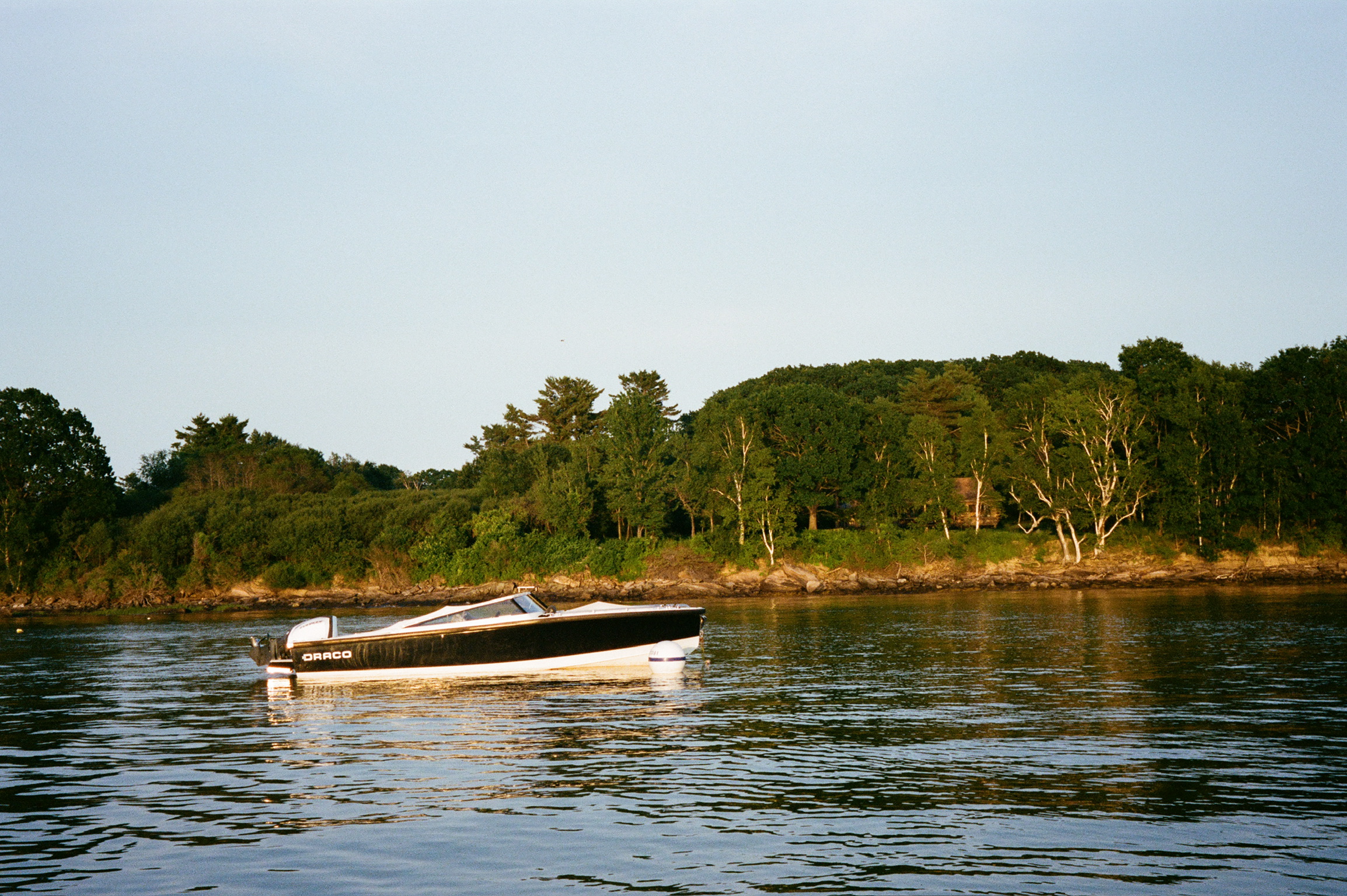 Draco cruising past island on calm water